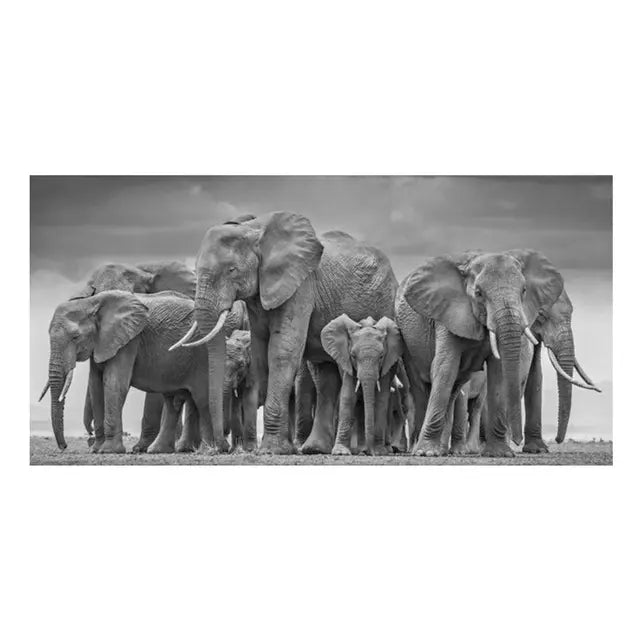 Black and white photo of a family of elephants walking together.