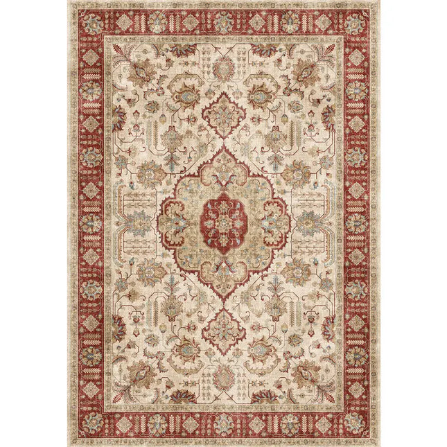Decorative rug with intricate patterns on a white background